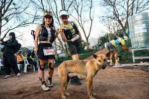 BIB: 
                            <button type="button" onclick="openModal(25457939)" class="btn btn-primary btn-sm float-right btn-popup" data-toggle="modal" data-target=".modal-high-quality">
                        <i class="fas fa-shopping-cart"></i> Add to Cart
                    </button>
                                            <button type="button" onclick="isThisMe(25457939, true)" class="btn btn-success btn-sm float-right btn-popup btn-isme hidden" data-toggle="tooltip" data-placement="bottom" title="นี่คือรูปของคุณใช่ไหม คลิกที่นี่เพื่อเอาเข้าอัลบั้ม">
                        <i class="fas fa-plus"></i> Add to album
                    </button>
                    <button type="button" onclick="isThisMe(25457939, false)" class="btn btn-warning btn-sm float-right btn-popup btn-isnotme hidden">
                        <i class="fas fa-ban"></i> Remove from album
                    </button>